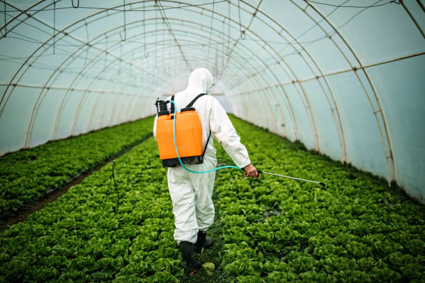 Best Affordable Pest Control Services  in Princeton, TX