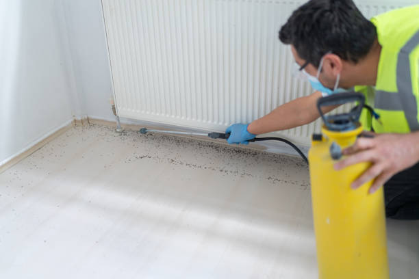 Best Affordable Pest Control Services  in Princeton, TX